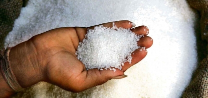 Entenda os fatores que estão influenciando os preços do açúcar bruto e do branco no mercado global