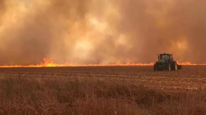 Incêndios já atingiram 430 mil hectares em São Paulo