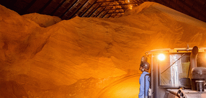 Açúcar: futuro inicia semana em baixa; Índia deve recuperar produtividade com chuvas de monções acima da média