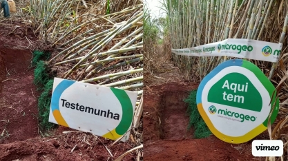 Produtor instala Bioestação e alcança incremento de produtividade agrícola de 12 ton/ha por corte