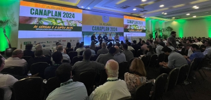 O que vem acontecendo fisiologicamente com a cana?