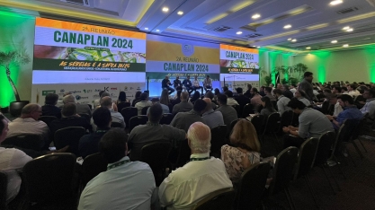 O que vem acontecendo fisiologicamente com a cana?