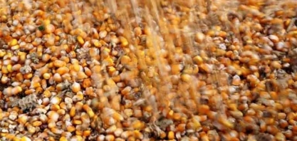 Inpasa começa a operar em Mato Grosso a maior usina de etanol do mundo