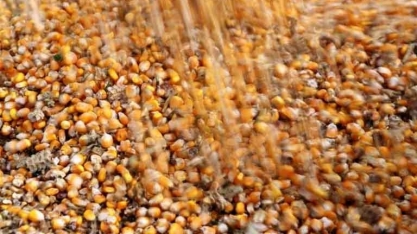 Inpasa começa a operar em Mato Grosso a maior usina de etanol do mundo