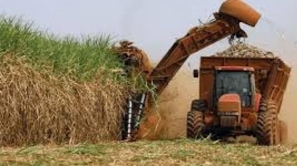 Lideranças do setor açucareiro discutem desafios e perspectivas para o futuro na 24ª Conferência Internacional DATAGRO