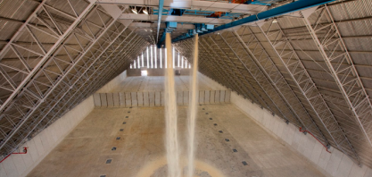 Açúcar fecha em alta nas bolsas internacionais com possível quebra na safra no 4º trimestre devido às chuvas