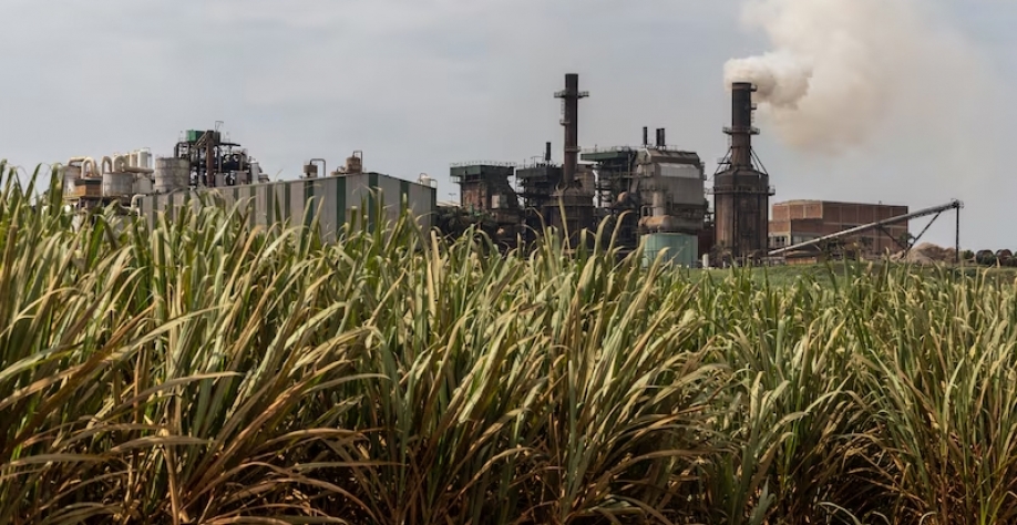 Como o Brasil se tornou um imã de capital para o combustível verde de aviação |País é o segundo maior produtor mundial de etanol, que pode ser utilizado para produzir combustível de aviação sustentável. (Foto: Jonne Roriz/ Bloomberg)(Photographer: Jonne R