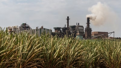 Como o Brasil se tornou um imã de capital para o combustível verde de aviação