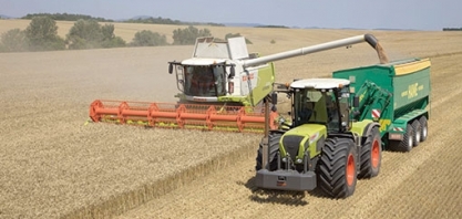 Reino Unido abre 45 mil vagas de emprego do agro para estrangeiros; veja como conseguir