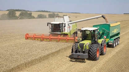 Reino Unido abre 45 mil vagas de emprego do agro para estrangeiros; veja como conseguir