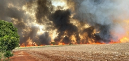 Dirigentes do setor sucroenergético discutem problemática das queimadas com governador de AL