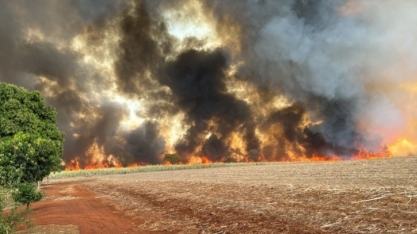 Dirigentes do setor sucroenergético discutem problemática das queimadas com governador de AL