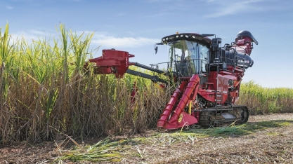 Moagem de cana em Minas Gerais atinge 73,8 milhões de toneladas na safra 24/25