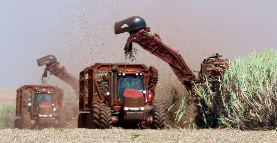 REUTERS/Paulo Whitaker