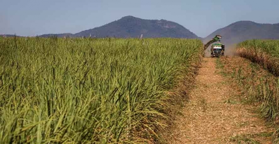 Tereos já contratou até agora R$ 1,8 bilhão em financiamentos sustentáveis — Foto: Wenderson Araújo/CNA