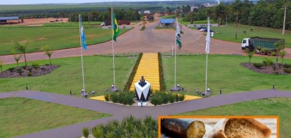 Energética Santa Helena inicia produção de açúcar na unidade de Nova Andradina–MS