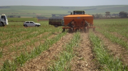 Parceria entre Brasil e Estados Unidos fortalece inovação em fertilizantes