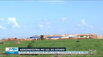 Produção de Etanol a base de milho e sorgo movimenta a economia em Balsas
