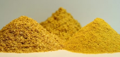 Chineses devem liberar importação de DDG brasileiro em 2025, diz presidente da Abramilho