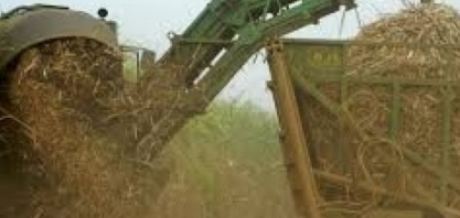 Cana/CTC: produtividade no Centro-Sul cai 20% em outubro ante igual período de 2023