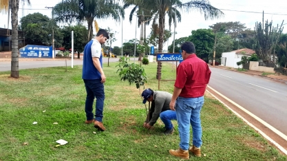 Inpasa doa mil mudas de ipês para preservação da flora em Sidrolândia