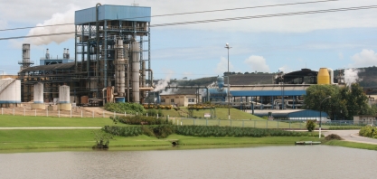 As estratégias da Usina Caeté para impulsionar suas margens