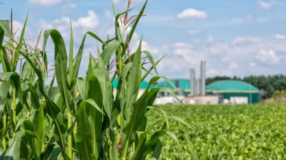 As duas commodities que devem liderar a transição energética no Brasil