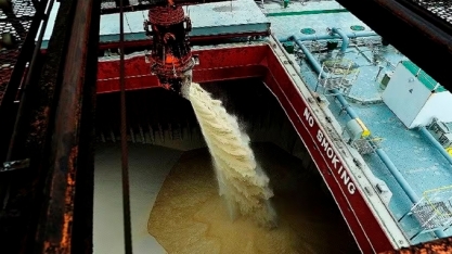 Açúcar fecha em baixa nas bolsas internacionais com recuo no consumo mundial