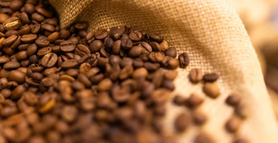 Nesta semana, contratos de café chegaram ao maior nível em 13 anos — Foto: Wenderson Araujo/CNA