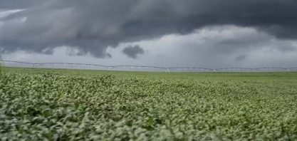 Chuvas devem ser fortes em várias regiões do Brasil nesta semana