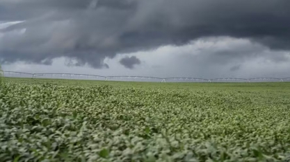 Chuvas devem ser fortes em várias regiões do Brasil nesta semana