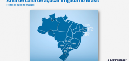 A irrigação se faz nas chuvas