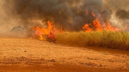 Queimadas em canaviais paulistas elevam preço do açúcar na bolsa: entenda o impacto no mercado e no consumidor