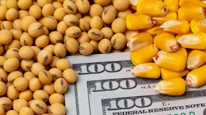 Agronegócio brasileiro pode ter ganho menor com guerra comercial de Trump e China, mas prêmios da soja já sobem