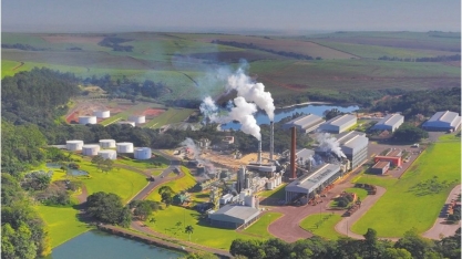 São Manoel apresenta Relatório de Sustentabilidade 2024 e reafirma compromisso com práticas ESG