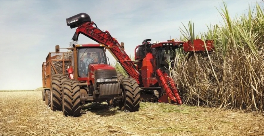 São Martinho teve cerca de 20 mil hectares de canaviais atingidos pelo fogo — Foto: Globo Rural