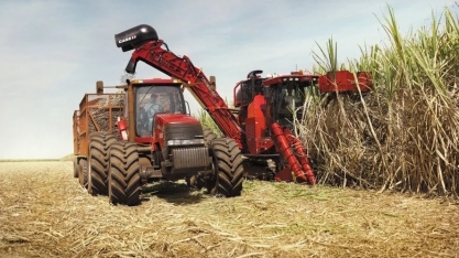 Incêndios têm impacto limitado nos resultados da São Martinho