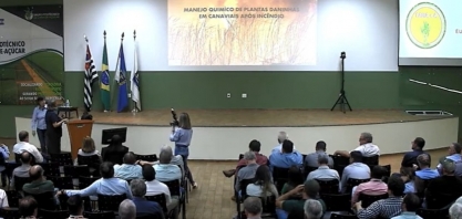 Impactos dos incêndios em canaviais e estratégias de recuperação foram temas debatidos na 6ª Reunião do Grupo Fitotécnico IAC