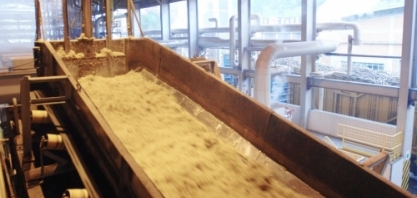 Impactos climáticos não abalam liderança do Brasil no mercado mundial de açúcar em 2025