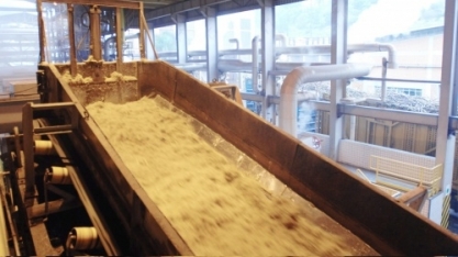 Impactos climáticos não abalam liderança do Brasil no mercado mundial de açúcar em 2025