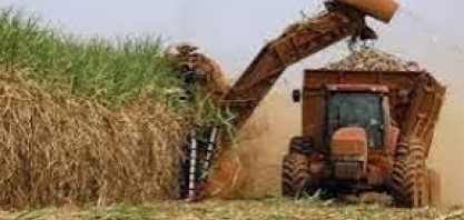 Usineiros brasileiros dizem que preços atuais do açúcar limitam crescimento da produção