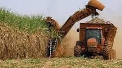 Usineiros brasileiros dizem que preços atuais do açúcar limitam crescimento da produção