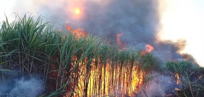 Na COP29, seguradoras se apresentam como opção para cobrir danos de eventos climáticos