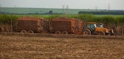 Safra recorde deve impulsionar crescimento de 7,6% no valor da produção agropecuária em 2024/2025
