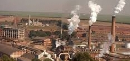 Etanol: gigantes do setor se unem em hub de inovação para ganhos de produtividade