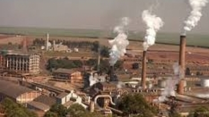 Etanol: gigantes do setor se unem em hub de inovação para ganhos de produtividade