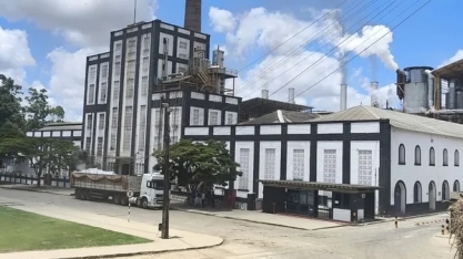 AL e os 100 anos do etanol: a revolução do biocombustível começou aqui