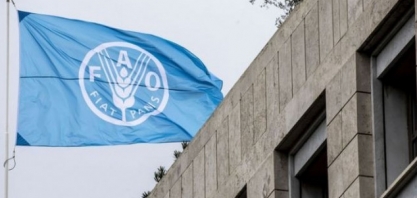 Preço dos óleos vegetais dão salto de 7,3% em outubro