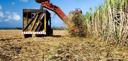 ACP Bioenergia prevê elevar área de cana e grãos em quase 50% até 2028