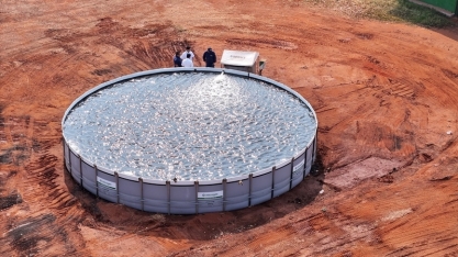 Combinando Irrigação e Microgeo, canavial da Energética Serranópolis vêm surpreendendo com ganhos expressivos de TAH.
